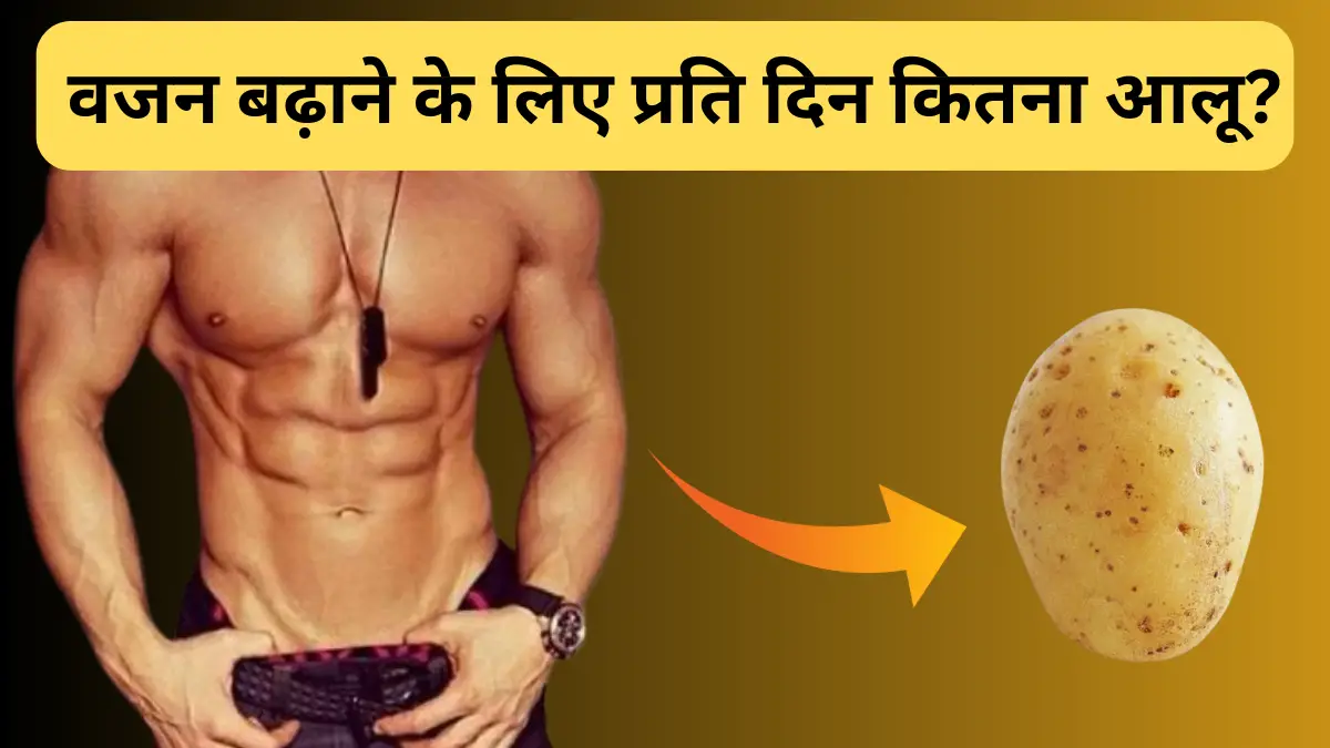 वजन बढ़ाने के लिए प्रति दिन कितना आलू? : How many potatoes per day for weight gain?