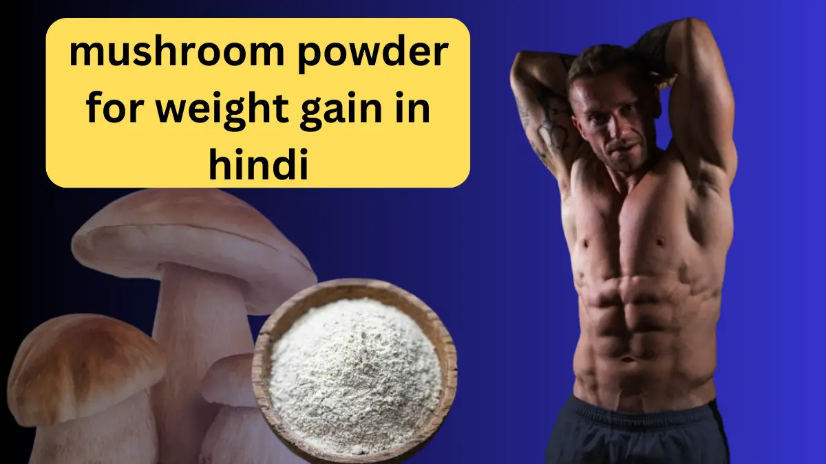 mushroom powder for weight gain in hindi